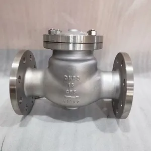 Carbon Steel API Swing Check Valve thumbnail-5