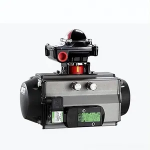 Pneumatic Actuator thumbnail-1