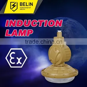 SBD1103 Explosion Proof Energy Saving Light thumbnail-1