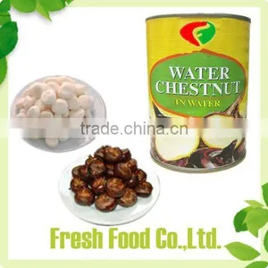 Canned Water Chestnut Whole thumbnail-1