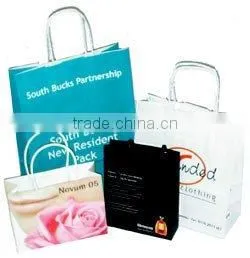 2011 Luxury Paper Bags thumbnail-1