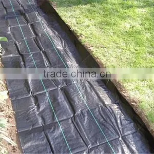 Weed Barrier Mat thumbnail-1