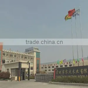 Changzhou Lingdian Wood Co., Ltd. company overview - view 1 thumbnail