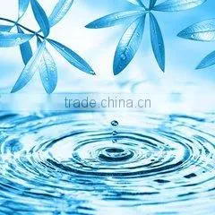 Production Line Water Filter Local thumbnail-1