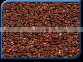 Black & Brown Sesame Seed thumbnail-1