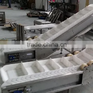 Plastic Incline Belt Conveyors for Different Industries thumbnail-2