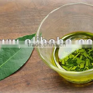 Laurel Bay Leaf Essential Oils , Laurel Oil thumbnail-6