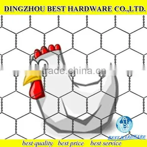 Pvc Coated Hexagonal Chicken Wire Mesh Factory thumbnail-1