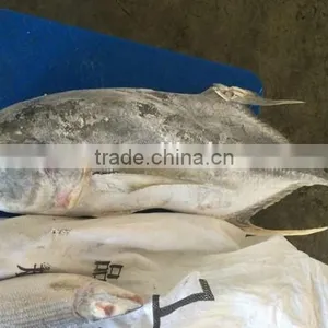 Frozen Fresh Whole Round Trevally Fish for Sale thumbnail-3