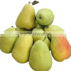 2012 Fresh Pear Season Coming Now thumbnail-1