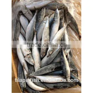 Good Quality Mackerel Fish Frozen thumbnail-3
