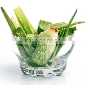 Sell High Quality 100%Freeze Dried Aloe Vera Gel Powder thumbnail-1