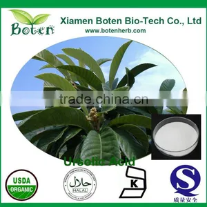 High Quality Loquat Leaf Extract Powder thumbnail-1