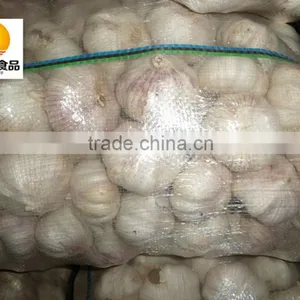 Chinese Exported Air Dried Normal White Garlic thumbnail-5