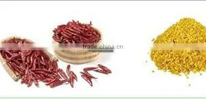 Chinese Sweet Pepper Red Paprika Powder thumbnail-2