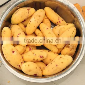 Commercial Turnip Fruit Vegetable Washing and Peeling Potato Ginger Washer and Peeler Machine thumbnail-6