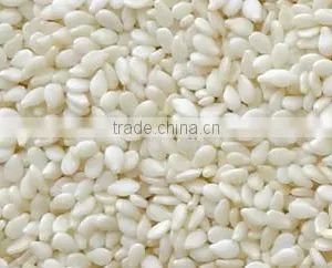 Best Price Hulled Sesame Seeds for Importers thumbnail-1