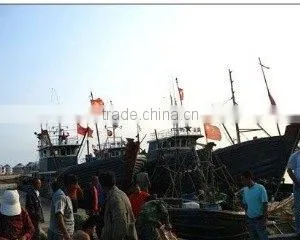 Ningbo Yinzhou Dahua Aquatic Products Factory company overview - view 3 thumbnail