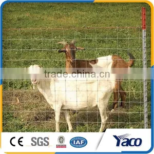 Trade Assurance Steel Fence t Post Made in Anping thumbnail-5