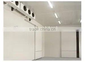 Cold Room thumbnail-1