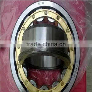 NU304E Hydraulic Cylinder End Bearing thumbnail-1