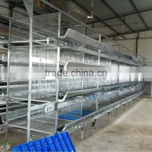 Automatic Quail Layer Cage thumbnail-5