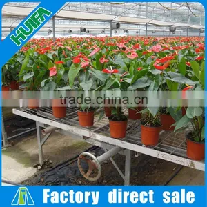 2016 Hot Sale Commercial Greenhouse Growing Benches Tables in USA thumbnail-3