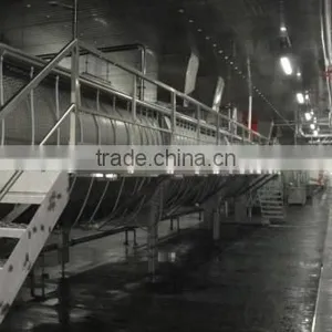 Automatic Poultry Slaughter Equipment thumbnail-1