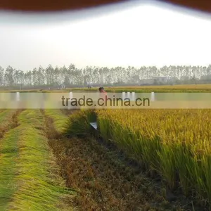 Walking Tractor/mini Tiller Used Harvest Part/mini Harvester thumbnail-4