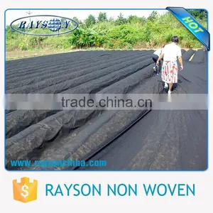 Ali Golden Trade Agriculture Nonwoven Rayson Waterproof Ground Cover thumbnail-1