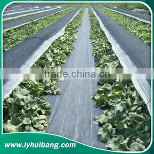 105G/M2 Weed Mats / PP Woven Fabrics in Small Rolls thumbnail-3
