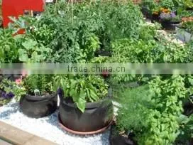 Pot Gardening Smart Grow Bags Grow Bags Smart Non Woven Plant Pot (1 Gal to 1200 Gal) thumbnail-1