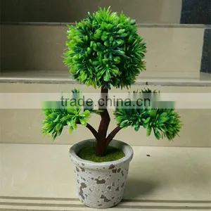 CHY060911 Guangzhou Shengjie High Quality Bonsai for Landscape thumbnail-1
