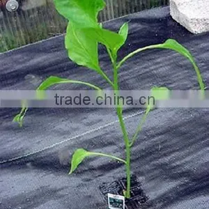 High Quality Used Plastic Mulch Layer Weed Barrier Fabric thumbnail-2