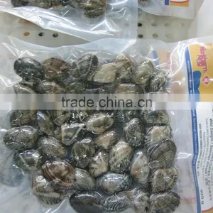 Frozen Vacuumed Cooked Short Necked Clam Wild Caught thumbnail-2