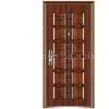 Steel Door thumbnail-1