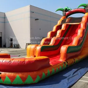 Inflatable Slip and Slide Inflatable Water Slide Axs-18 thumbnail-1
