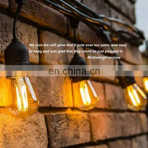 33ft 48ft 100ft Globe Handing Sockets Led Christmas Lights Outdoor Lighting thumbnail-2
