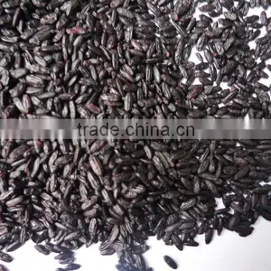 Steamed/roasted Black Rice (organic or Common Types) thumbnail-1
