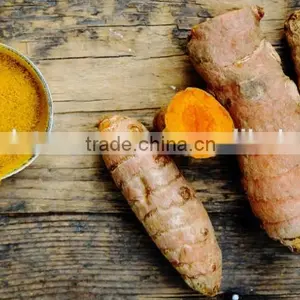 Best Price Fresh Turmeric Root From Vietnam thumbnail-2