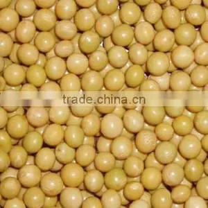 Chinese Organic Soybeans thumbnail-2