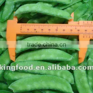 Newest Crop IQF Frozen Pea Pods thumbnail-1