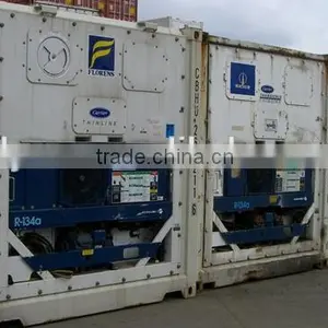 10ft 20ft 40ft Freezer and Refrigerator Container thumbnail-3