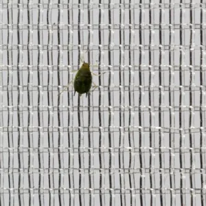 Fabrik liefert hochwertiges, preiswertes transparentes weißes Insektenschutznetz für Gewächshäuser und Landwirtschaft thumbnail-2