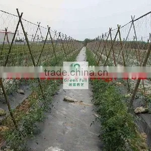Cucumber Climb Net thumbnail-1