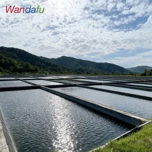 Wandafu Smooth/Textured HDPE Geomembrane For Shrimp Farm Fish Pond Liner thumbnail-1