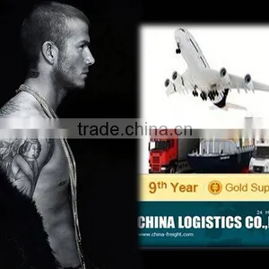 Shenzhen/guangzhou /hongkong Lcl Shipping to Brazil---Sangni thumbnail-1