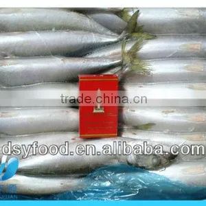 Frozen Pacific Macherel thumbnail-2