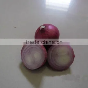 Fresh Red Onion thumbnail-1