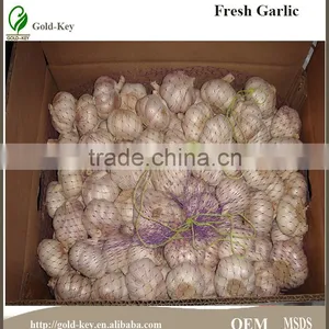 Fresh Garlic thumbnail-2